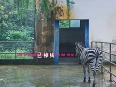 -祥源·阜阳生态乐园