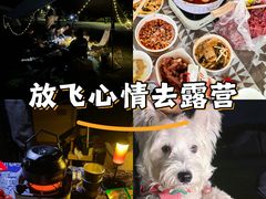 -贡湖湾湿地公园