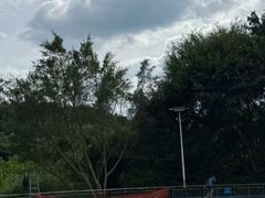 -南宁良凤江国家森林公园