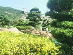 -张钰强中医正骨推拿连锁(唐家人才公寓店)