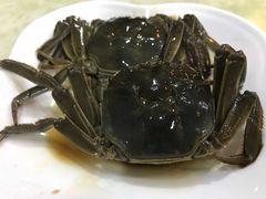 -红灯笼龙凤饭店(宁波老字号店)