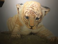 -ZOO COFFEE 动物园咖啡(亦庄店)