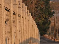 -广富林郊野公园