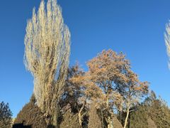 -张掖大佛寺景区