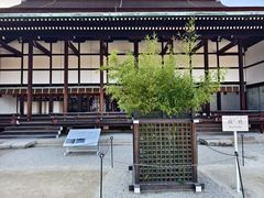-京都御所