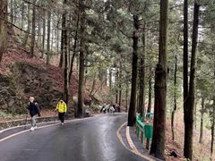 -南岳衡山风景名胜区