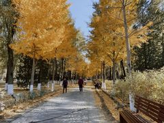 -东升八家郊野公园