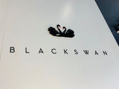 -BLACKSWAN黑天鹅(环球店)