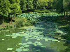 -尚贤河湿地