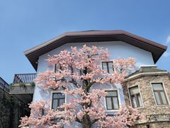 -五矿哈施塔特文旅小镇