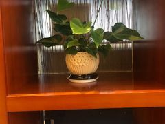 -奥山雅阁酒店·中餐厅