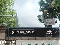 -嘉定紫藤园