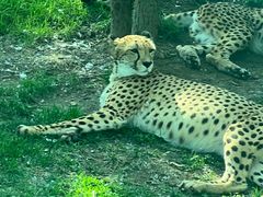 -北京野生动物园