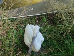 -哈尔滨北方森林动物园