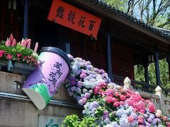 -苏州上方山国家森林公园