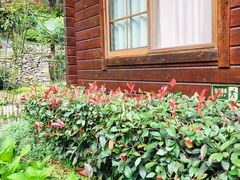 -宁波余姚老柿林山居度假村