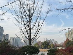 -西北湖绿化广场