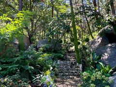 -沂蒙山旅游区云蒙景区(蒙山国家森林公园)