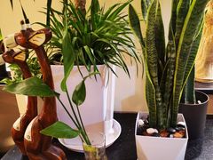 -国宾酒店-花园咖啡自助餐厅(北营房中街店)