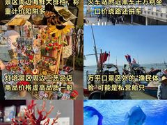 -日照海滨国家森林公园