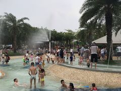 -海珠儿童公园