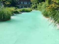 -上海吴淞炮台湾国家湿地公园