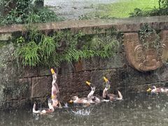 -浙江省博物馆(孤山馆区)