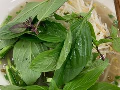 生牛肉河粉-Pho Hoa Pasteur