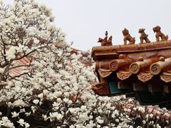 -故宫博物院(故宫)