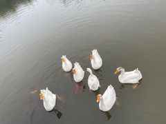 -龙熙维景国际会议中心