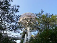 -仙岳公园