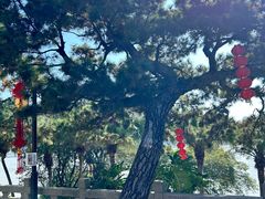 -船政文化景区-罗星塔公园