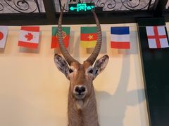-普兰达德国餐厅·德式脆皮烤猪肘·自酿啤酒(观唐店)