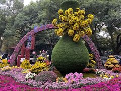 -杭州植物园