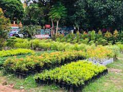 -ခြောက်ထပ်ကြီးရွှေသာလျောင်းဘုရားကြီး