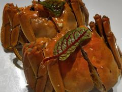 熟醉六月黄-颂福楼·南京菜(定淮门店)