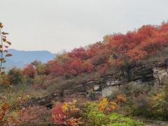 -周口店坡峰岭风景区