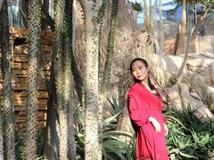 -北京植物园-展览温室