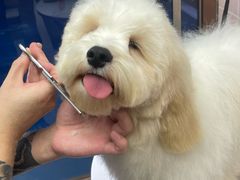-FAELING PETS美天灵宠物(富力广场店)