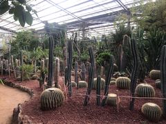-呀路古热带植物园