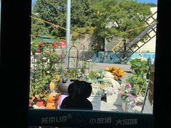 -京北渔家傲