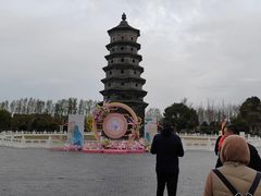 -黄海国家森林公园