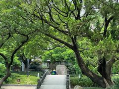 -江心屿景区