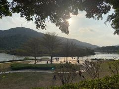 -风云岭森林公园