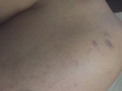 -海上驿站渔家菜馆