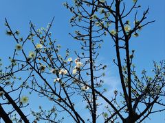 -东钱湖旅游度假区