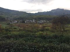 -塔川景区
