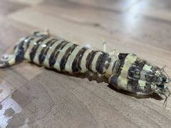 -海盗餐厅