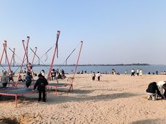 -瑶湖郊野森林公园