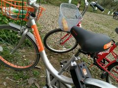 -白鹭湾湿地公园